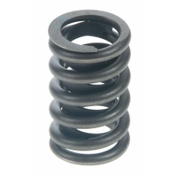 Valve spring