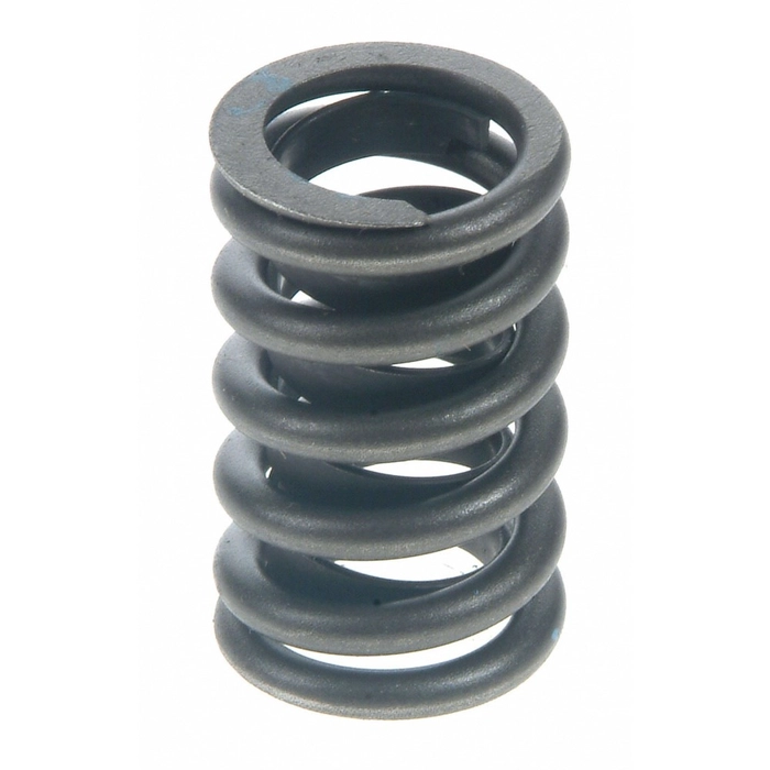 Valve spring