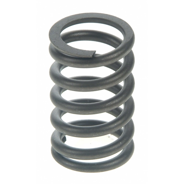 Valve springs